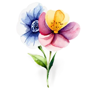 Watercolor Flower Essence PNG 36 PNG