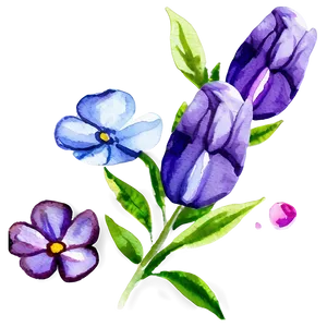 Watercolor Flower Essence PNG Yuw57 PNG