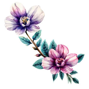 Watercolor Flower Outline PNG 45 PNG