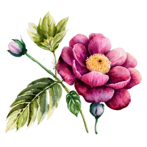 Watercolor Flower Painting Png 51 PNG image