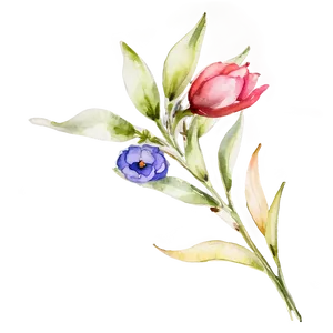 Watercolor Flower Stem PNG 06132024