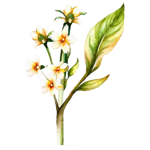 Watercolor Flower Stem PNG Ysu