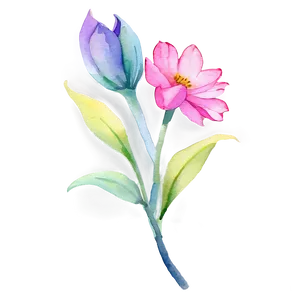 Watercolor Flower Transparent Png 05252024 PNG image