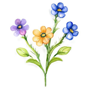 Watercolor Flower Transparent Png 05252024 PNG image