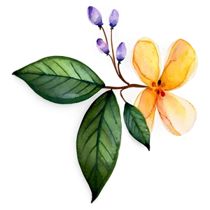 Watercolor Flower Transparent Png Evr PNG image