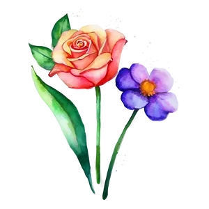 Watercolor Flowers Art PNG 05252024