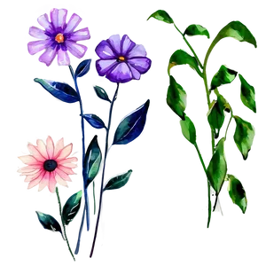 Watercolor Flowers Art PNG Ujo