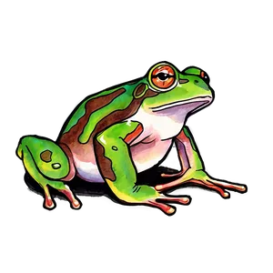 Watercolor Frog Painting Png 11 PNG image