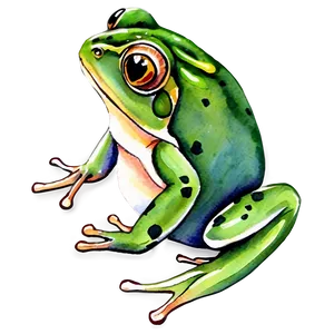 Watercolor Frog Painting PNG 17