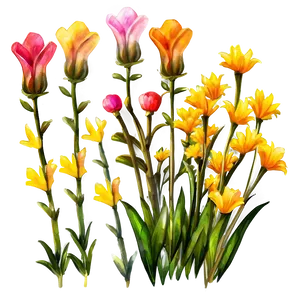 Watercolor Garden Flowers PNG Mmd
