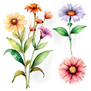 Watercolor Garden Flowers PNG Ogo91 PNG