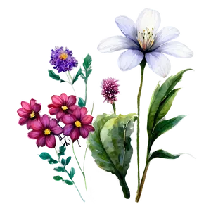 Watercolor Garden Flowers PNG Rmc PNG