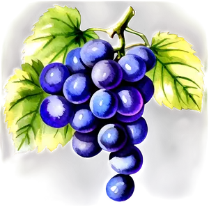 Watercolor Grape PNG Sia26