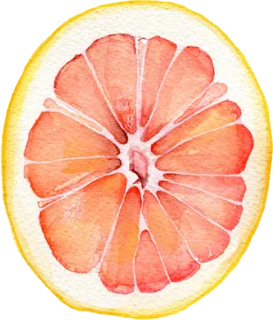 Watercolor Grapefruit Slice PNG image