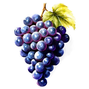 Watercolor Grapes PNG 8