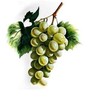 Watercolor Grapes PNG Oyq