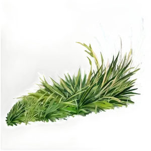 Watercolor Grass Patch PNG Eca84