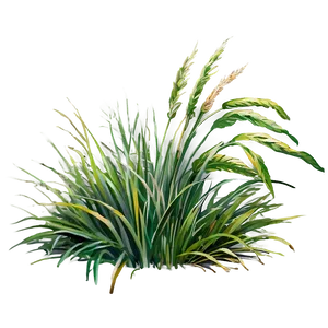 Watercolor Grass Patch PNG Jne69