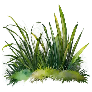 Watercolor Grass Patch PNG Nts