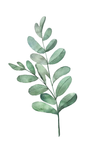Watercolor Green Leaf Branch