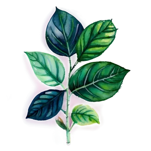 Watercolor Herbal Leaves Png 6 PNG image