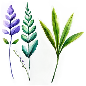 Watercolor Herbal Leaves Png Whx79 PNG image