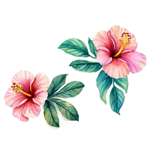 Watercolor Hibiscus Flowers PNG 05252024 PNG