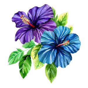 Watercolor Hibiscus Flowers Png Mkk PNG image