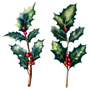 Watercolor Holly PNG 05252024