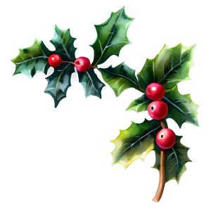 Watercolor Holly Png 64 PNG image