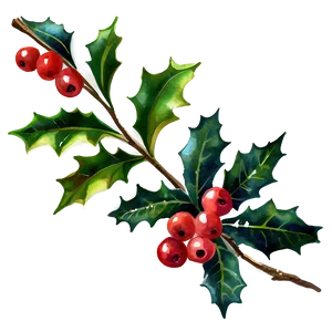 Watercolor Holly Png Ati PNG image