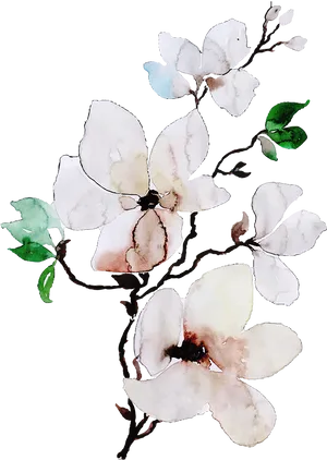 Watercolor Jasmine Branch Artwork PNG image