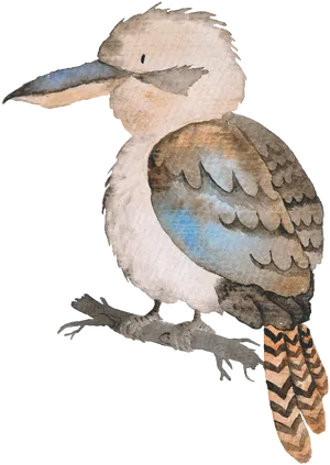 Watercolor Kookaburra Illustration PNG image