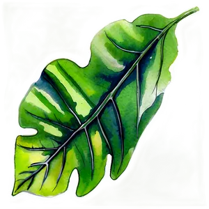Watercolor Leaf PNG 05032024