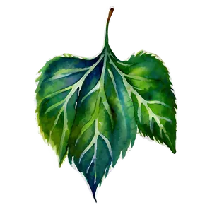 Watercolor Leaf PNG Lpi