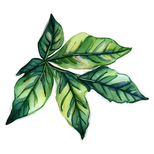 Watercolor Leaf PNG Xdb48
