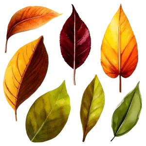 Watercolor Leaves PNG Eik