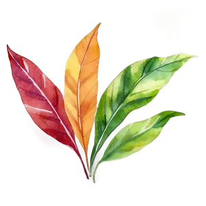 Watercolor Leaves PNG Huu47