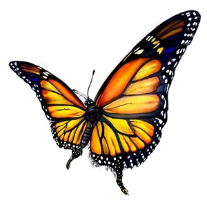 Watercolor Monarch Butterfly Png Ekg88 PNG image