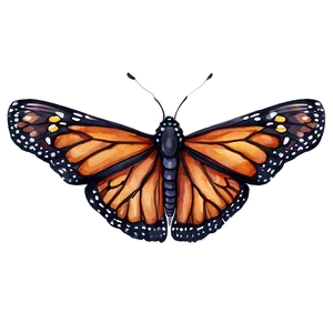Watercolor Monarch Butterfly Png Lbu PNG image