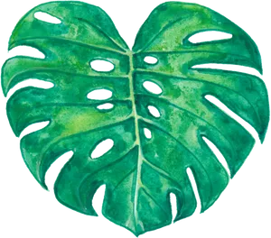 Watercolor Monstera Leaf Artwork PNG image