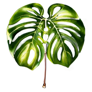 Watercolor Monstera Leaf PNG 8