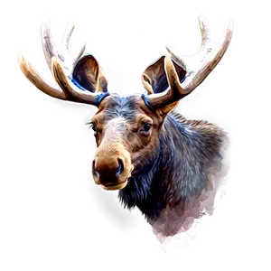 Watercolor Moose Head Painting PNG 06292024 PNG
