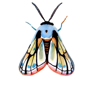 Watercolor Moth PNG 05242024