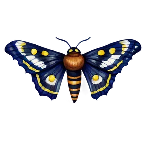 Watercolor Moth PNG 05242024
