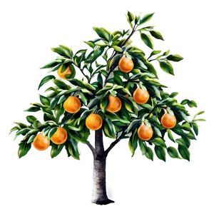 Watercolor Orange Tree PNG 17