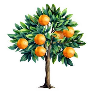 Watercolor Orange Tree PNG 65