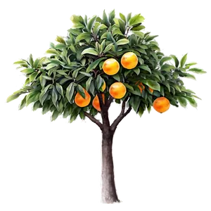 Watercolor Orange Tree PNG Mft PNG