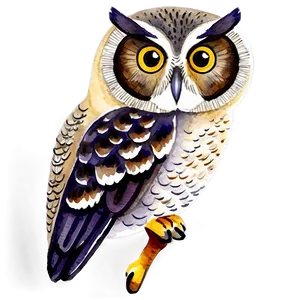 Watercolor Owl Png 34 PNG image