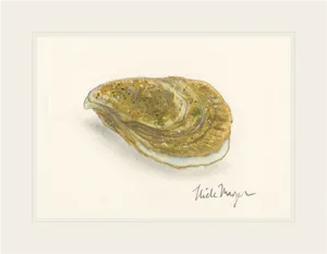 Watercolor Oyster Illustration PNG image